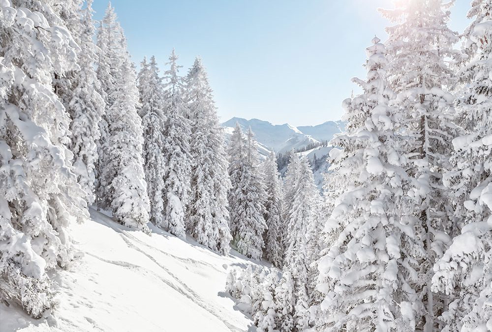 Saalbach Hinterglemm zu Weihnachten und Neujahr