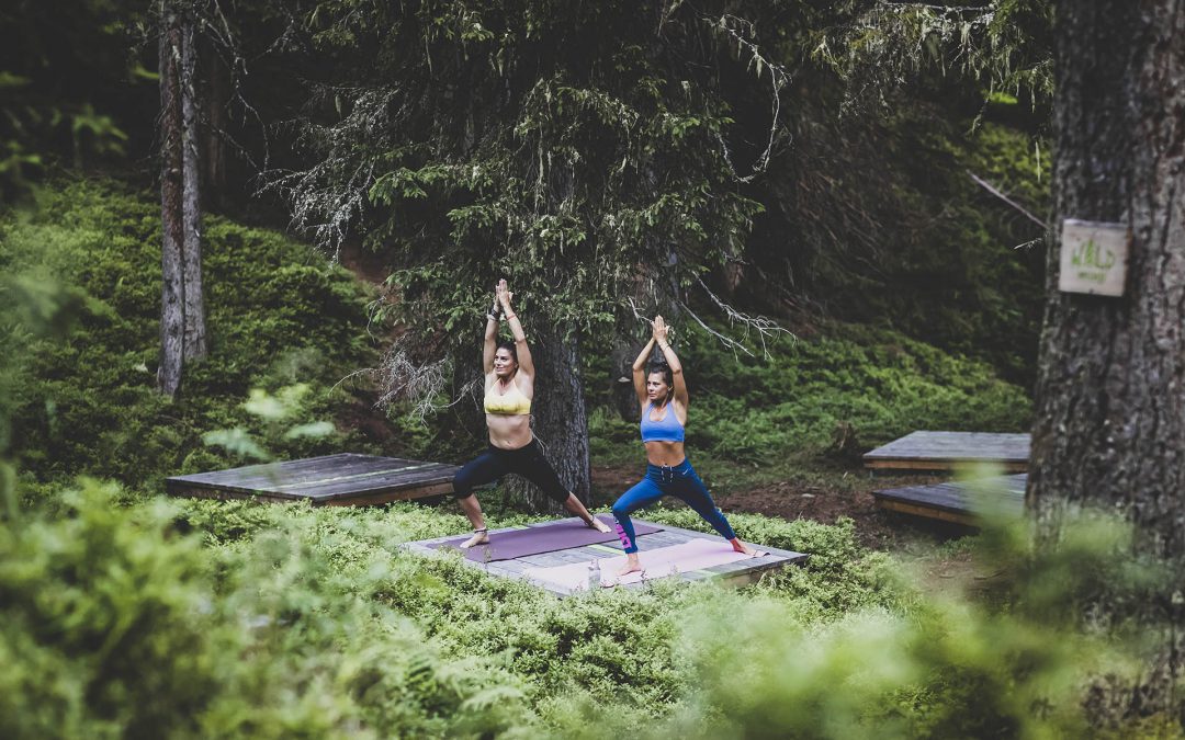 Experience and breathe forest wellness in Saalbach