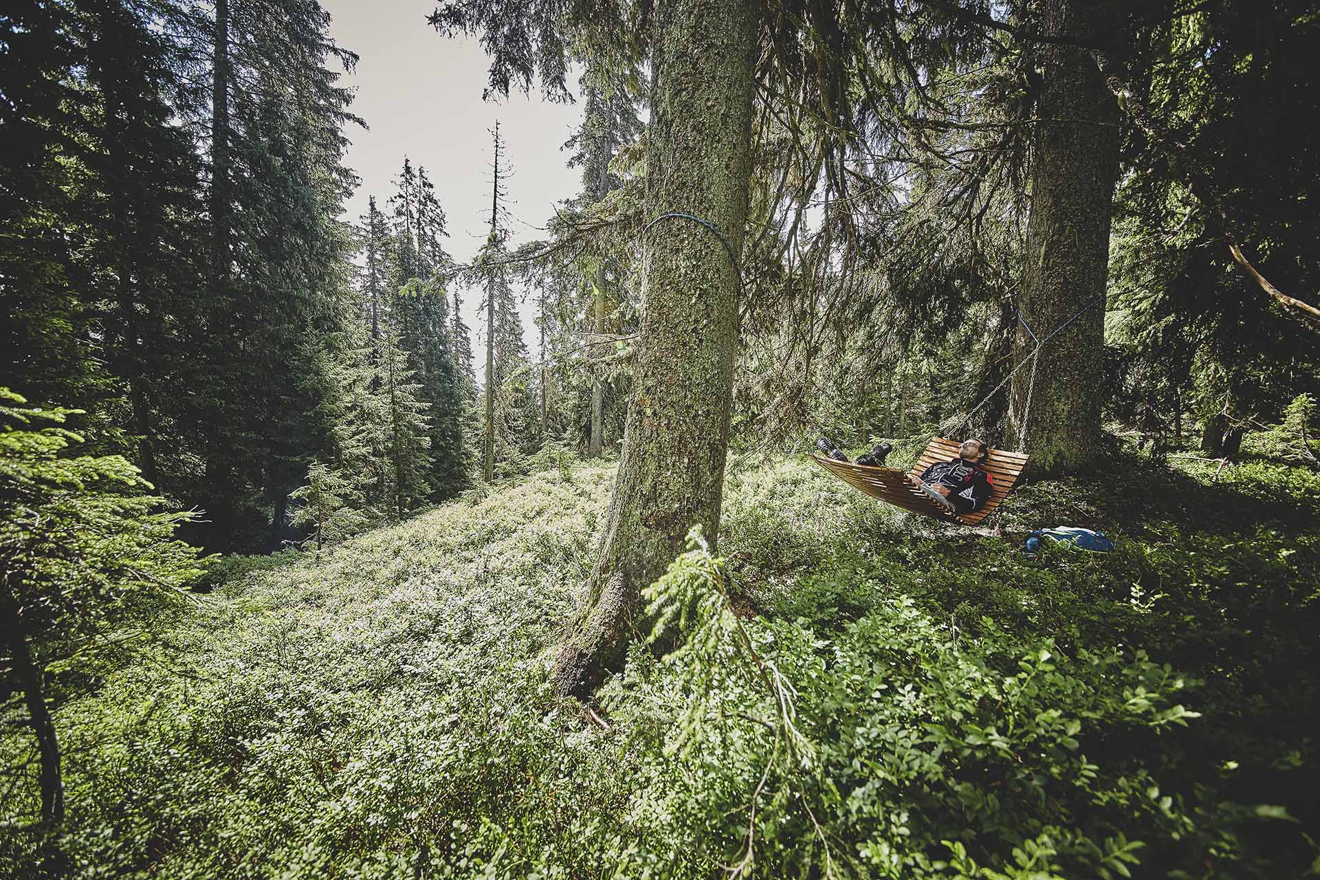 Waldwellness in Saalbach Hinterglemm